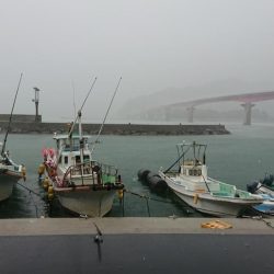 カサゴとチャリコ