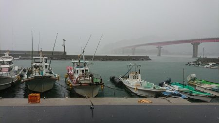 カサゴとチャリコ