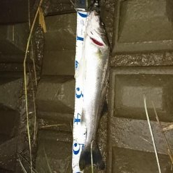 菊池川上流にて