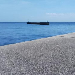 ファミリーキッシング