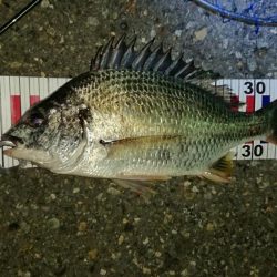 へち釣り講座を受けながら