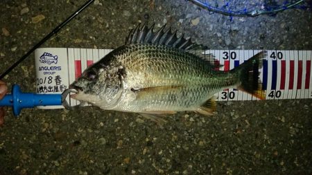 へち釣り講座を受けながら