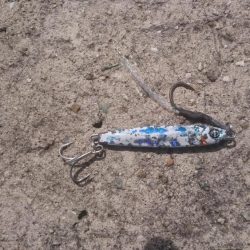 ライトショアジギング1