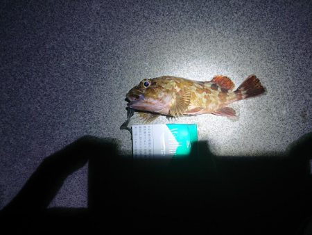 本当に久しぶりの釣行！