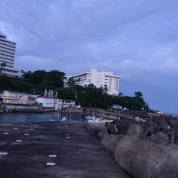 白浜温泉シーモア宿泊