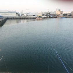 まったりサビキ