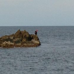 久しぶりの釣果