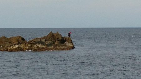 久しぶりの釣果