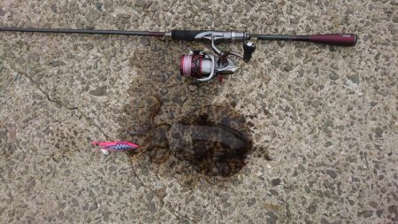 仕事おわりにちょろっとエギング