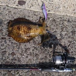 大雨特別警報後の