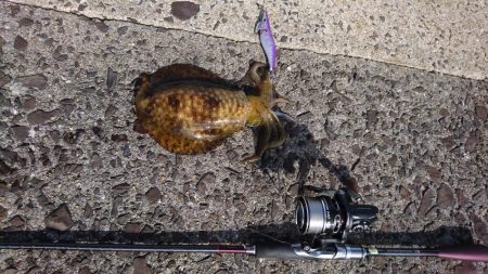 大雨特別警報後の