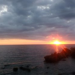 アコウ狙いでしたが雑魚ばかり