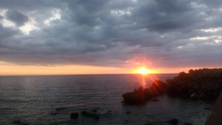 アコウ狙いでしたが雑魚ばかり