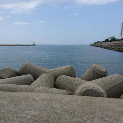 やっと来た？キス釣り