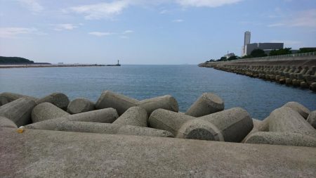 やっと来た？キス釣り