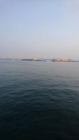 マイクロづくし