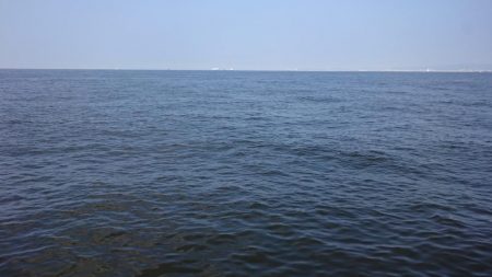 アジング&タコ情報