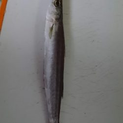 期待を込めて行ってみたものの