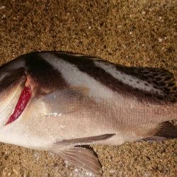 台風の来る前に