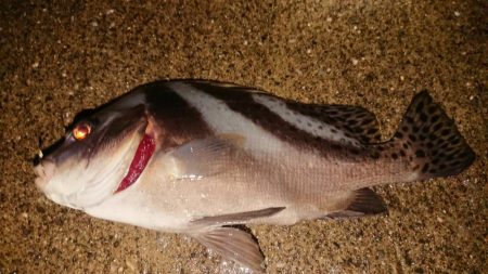 台風の来る前に