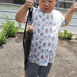 子供たちとシーバスフィッシング