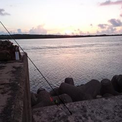 自作ポッパーでニセクロホシフエダイ