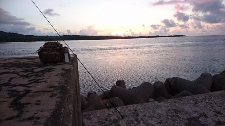 自作ポッパーでニセクロホシフエダイ