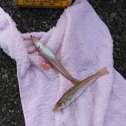 矢原でキス狙い