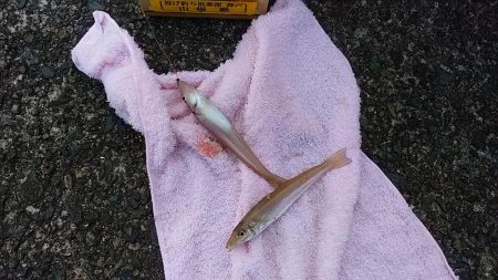 矢原でキス狙い