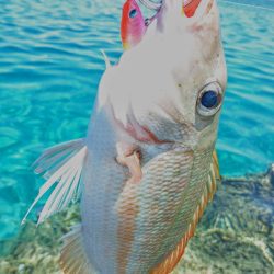 リーフエンドからルアーフィッシング