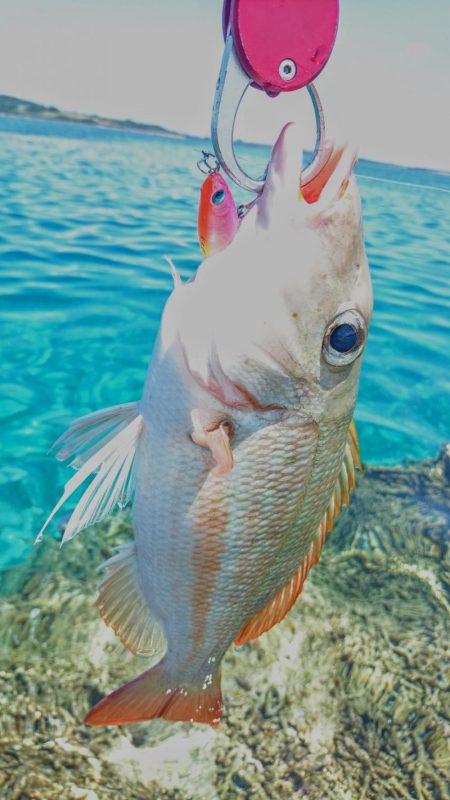 リーフエンドからルアーフィッシング