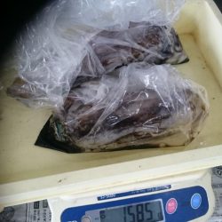 朝まずめ狙いで行って来ました。