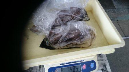 朝まずめ狙いで行って来ました。