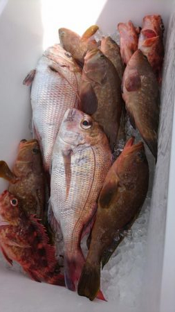 7月22日 ひとつテンヤ