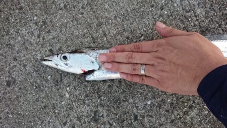 メートル超えならず