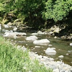 追い気が出てきました