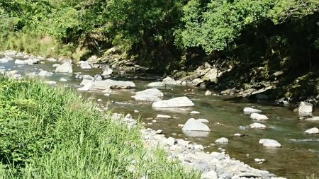 追い気が出てきました