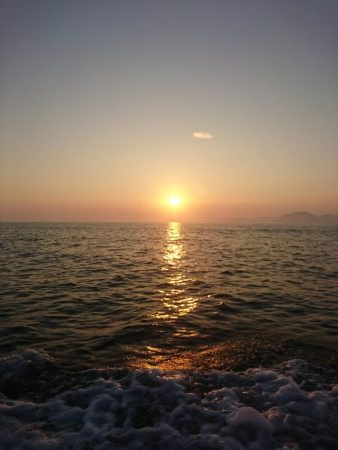 イカメタル深夜便