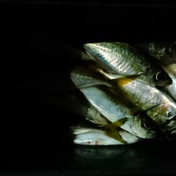 ボートアジング