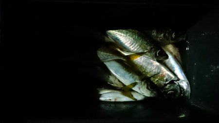 ボートアジング