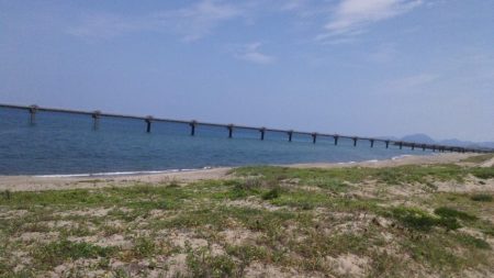 ショートバイト多発