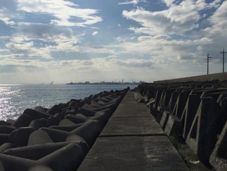 サワラのベイビーpart2