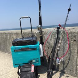 今期、初釣果‼️