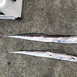 夏のビッグファイト