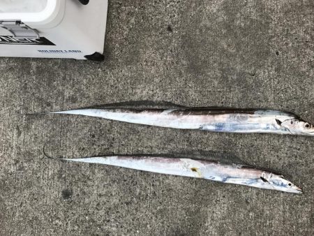 夏のビッグファイト