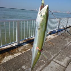 はじめて～の～チヌ♪