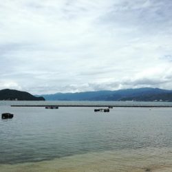 手漕ぎボート釣果