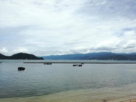 手漕ぎボート釣果