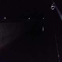 アジが釣りたくて