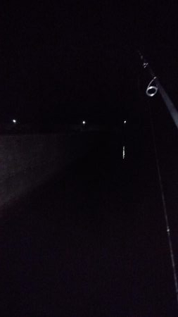 アジが釣りたくて